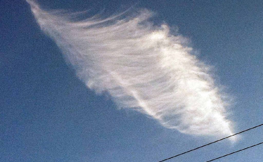 Sharon Sargant, of Wollongbar, spotted this feather-shaped cloud and snapped it on her mobile phone. Sharon Sargant, of Wollongbar, spotted this feather-shaped cloud and snapped it on her mobile phone.